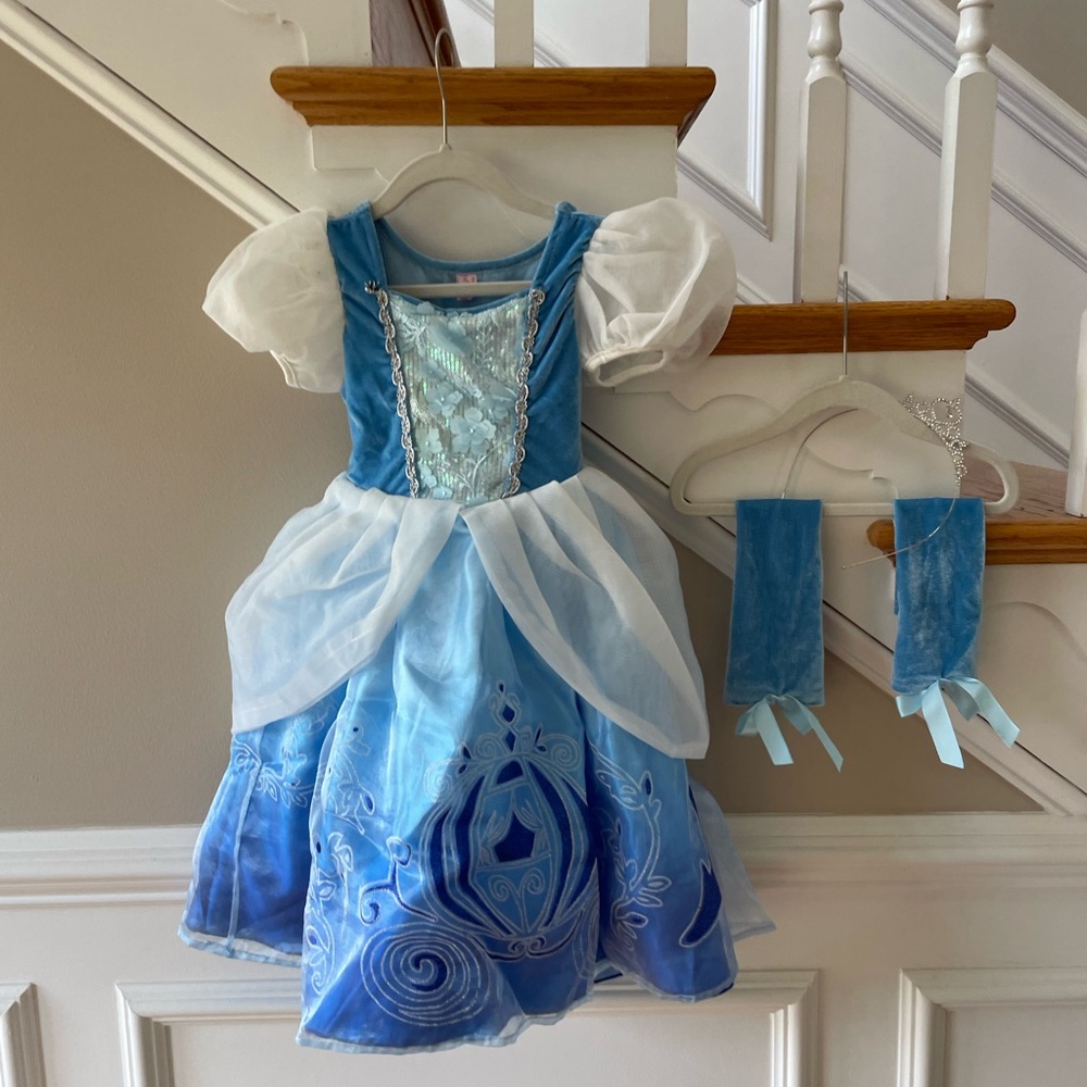 Cinderella Princess Toddler Costume